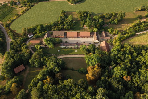 Schlossgut Lautenbach | Hochzeit im Grünen, Hochzeitslocation Oedheim, Kontaktbild