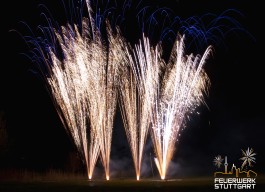 Das Hochzeitsfeuerwerk Bild 5